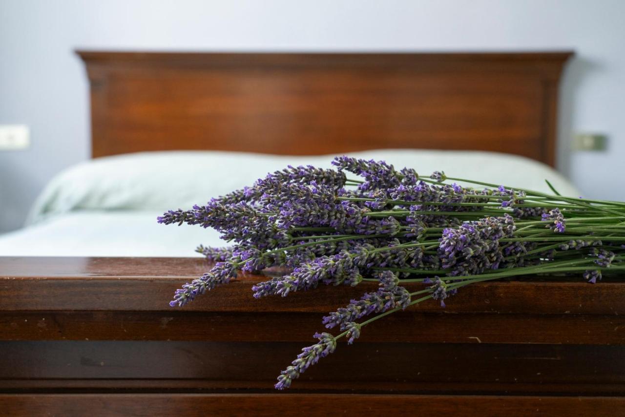 Lago Maggiore A 10 Minuti "Cascina Lavanda" Casalzuigno 외부 사진