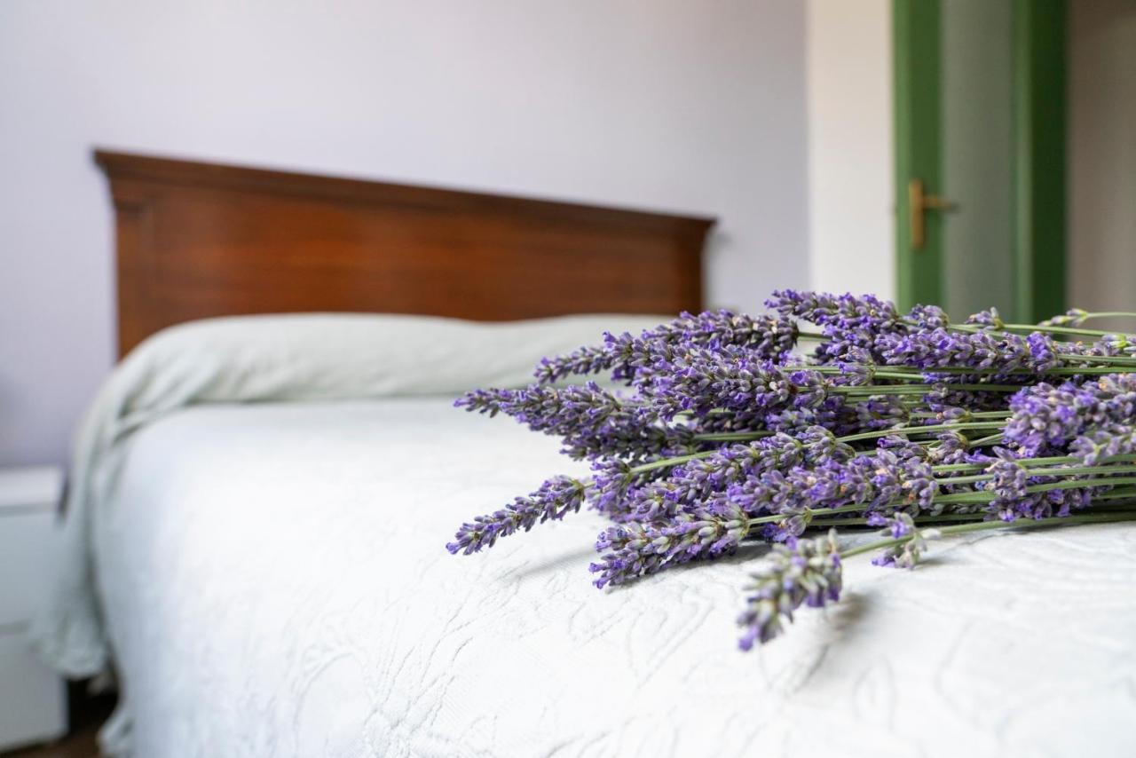 Lago Maggiore A 10 Minuti "Cascina Lavanda" Casalzuigno 외부 사진