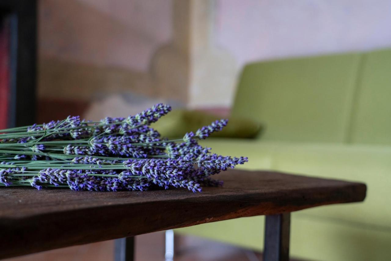 Lago Maggiore A 10 Minuti "Cascina Lavanda" Casalzuigno 외부 사진